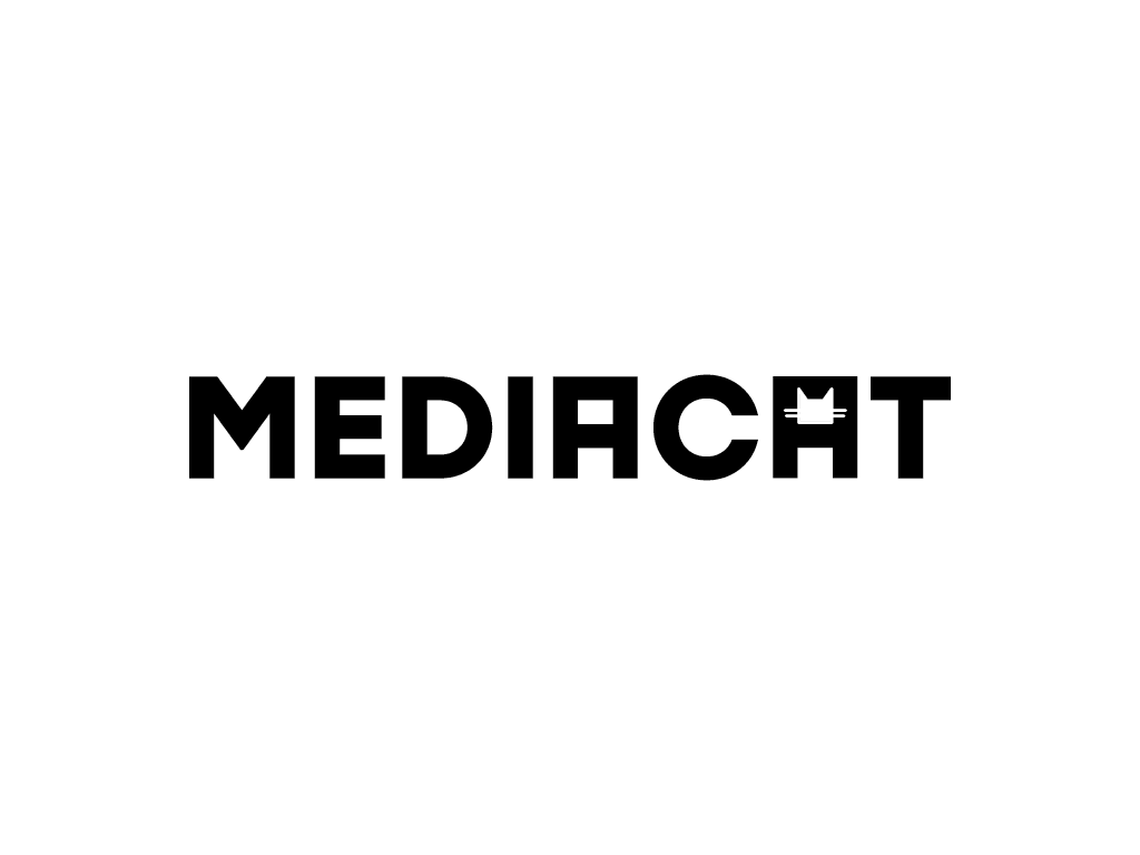 MEDIACAT - Küçük bütçelerle büyük hikâyeler yaratmak - AnatolianCraft