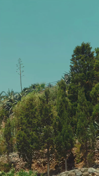 AnatolianCraft Teaser Video - Vertical